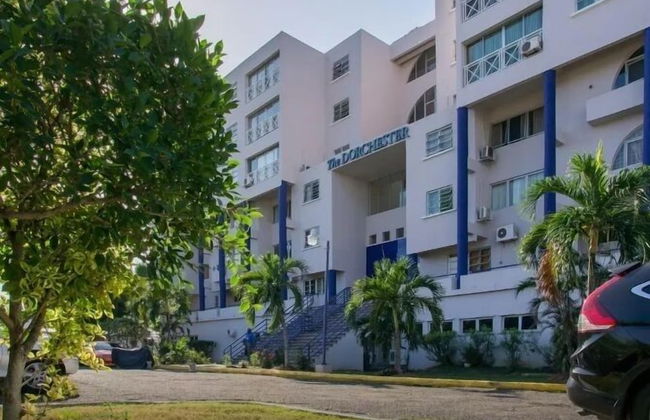 New Kingston Guest Apartment III - Foto 18