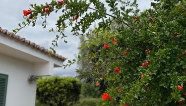 Ideal house for two families with pool and barbecue - Foto 2