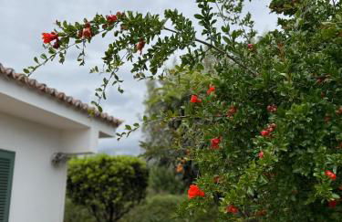 Ideal house for two families with pool and barbecue - Foto 2