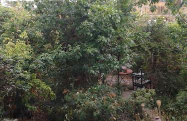 Logement indépendant - Foto 13