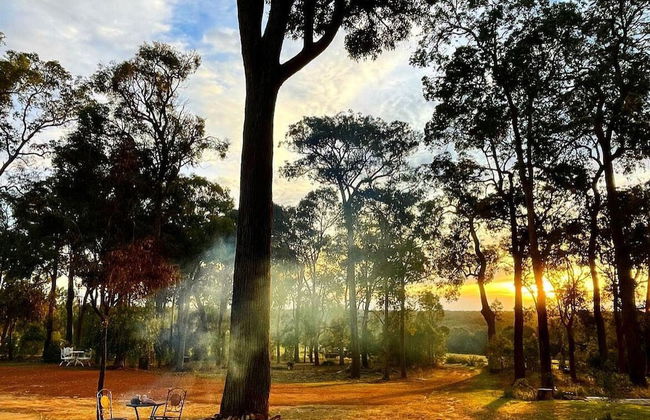 Jarrah Glen Cabins - Photo 24