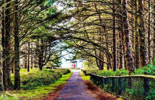 La Petite Maison - Foto 35