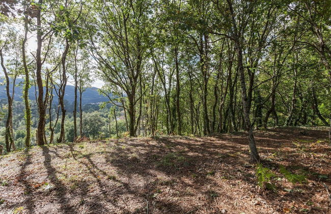 Suite Familiar Conheca O Minho E Descanse Em Plena Natureza - Foto 25