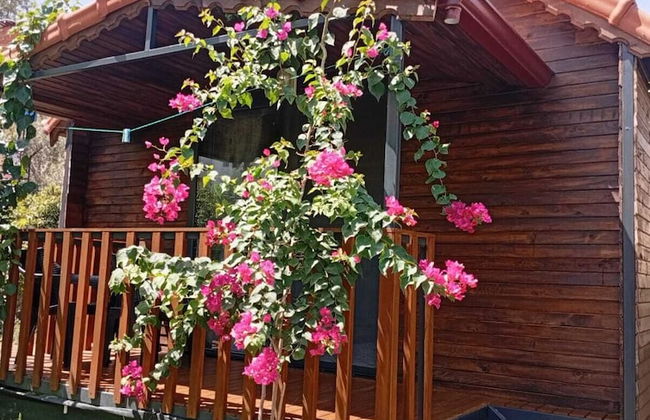 Riviera Bungalow Evleri Demre - Photo 42