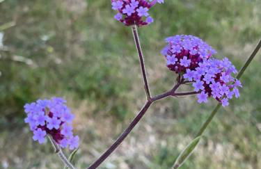 KER LONGITUDE - Foto 8