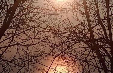 Pelion 7 Lives - Foto 19