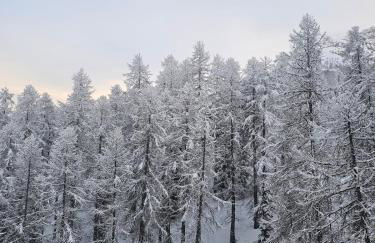 Studio 25m2 Vars, Chambeyron, Pied de Piste et Confort - Foto 23