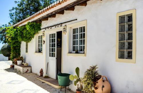 Quinta Velha by GT House - Foto 54