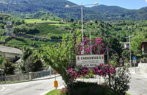 La Vache Qui Roule -CIR Charvensod 0037 - Foto 7