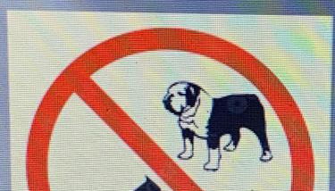 "COZY apt " center Bellaria Igea Marina - Foto 5