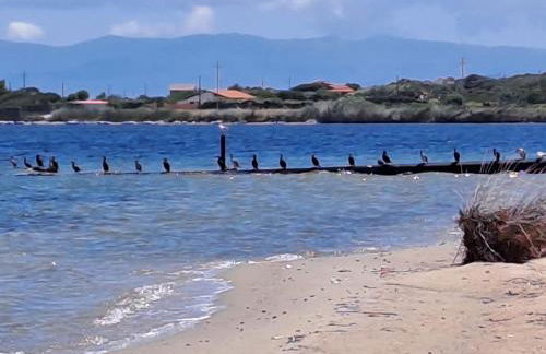 Cala di Seta Apartment - Rubino - Foto 18