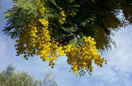Casa Sabbatini - Foto 56