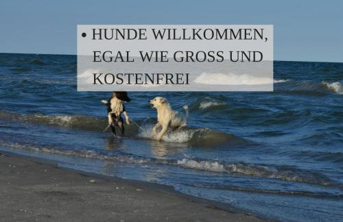 Ferienwohnungen in Wremen an der Nordsee zentral & hundefreundlich - Foto 4