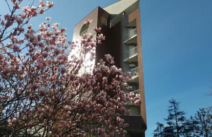 Il Giardino dell'Artista Stylish Home a Milano - Foto 37