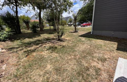 Historic Home in Downtown Greer Shop Eat & Sleep - Photo 10