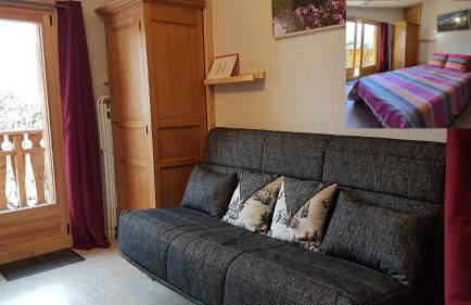 Le Gypaète - Photo 8