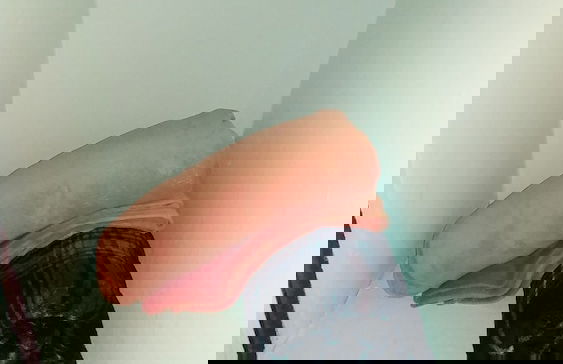 Boutique Vedado Villa - Photo 61