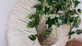 Carrapateira Retreat - Foto 5