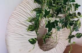 Carrapateira Retreat - Foto 5