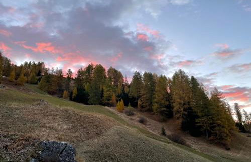 Col Dala Vara - Foto 75