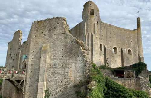 hô choucas - Foto 46