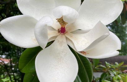 Convenient and Spacious home in Stanton, Ky - Foto 37