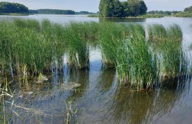 Haus Masuren, bei Ilawa, Angelbootvermietung, Dom czerwony i zielony - Foto 10