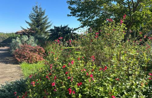 DOMAINE D'ELUSA - Photo 14