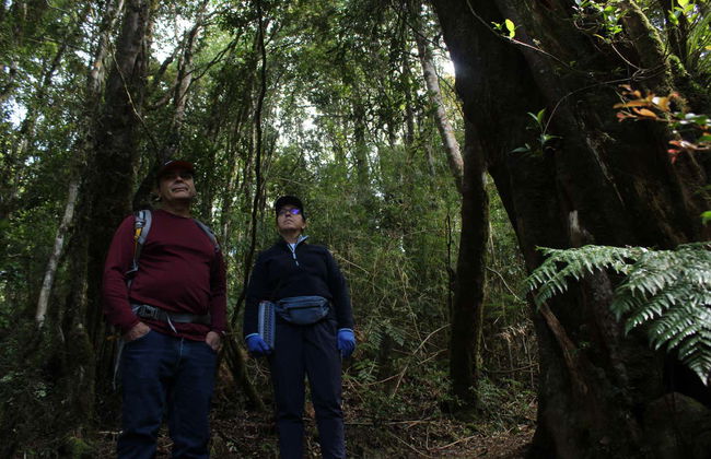 Hiking in Oncol Park - Photo 2