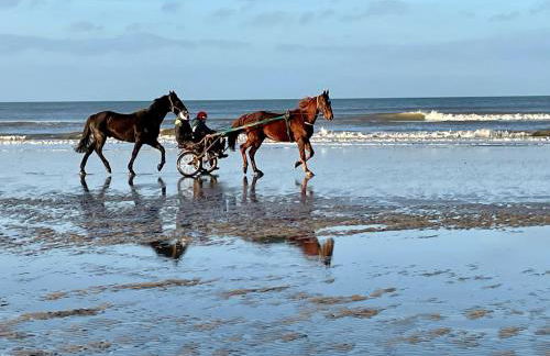 Manoir des Étangs - Foto 52
