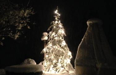 Cesa de Conesel - Foto 41