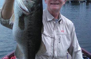 Lakefront Treehouse on Lake Travis Pool & Hot Tub - Foto 40