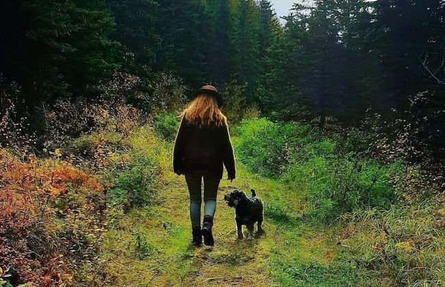 Kaldá Lyngholt Holiday Homes - Foto 26