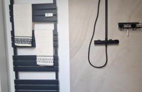 Königsnase - Foto 26