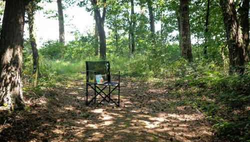 Le Nourhoët havre de Paix à l'Orée de Brocéliande - Foto 5