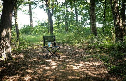Le Nourhoët havre de Paix à l'Orée de Brocéliande - Foto 5