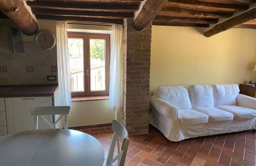 Rosa di Maggio - Foto 15