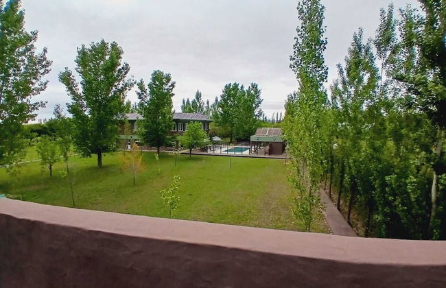 La Divina Pereza Eco - Foto 46