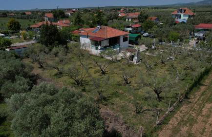 Dream in Chalkidiki 2 bedroom villa with garden - Foto 63