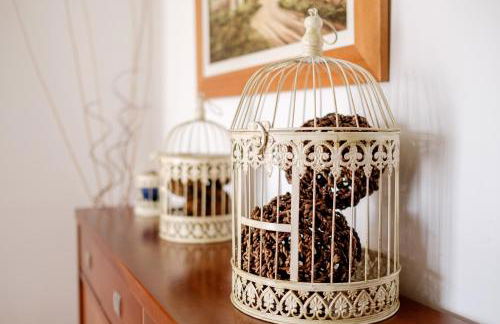 Rito´s Paradise - Foto 53