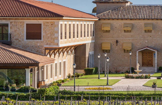 Visite du domaine Finca Torremilanos - Photo 1