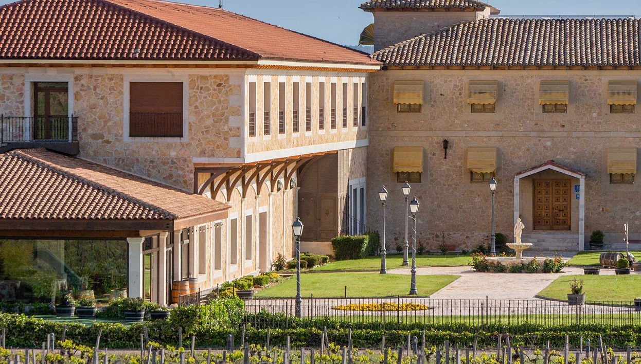 Visita a la bodega Finca Torremilanos