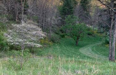 1878 Victorian Farm House near Asheville - Foto 27