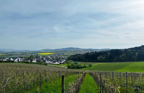 Ferienwohnung Moselherz - Urlaub im Wein- und Ferienort Bekond - Foto 18