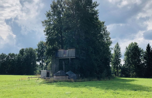 Treehouse Magpies Nest With Bubble Pool - Foto 27