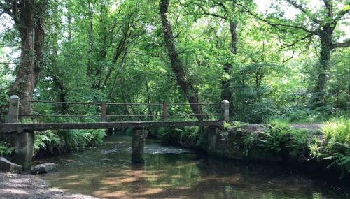 A woodland retreat - Apartment in converted mill - Foto 2