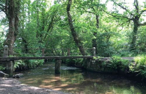 A woodland retreat - Apartment in converted mill - Foto 2