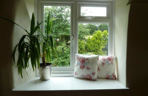 Beautiful Dartmoor cottage overlooking vineyard - Foto 8