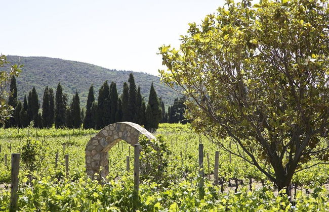 El Recer de Masia Serra - Adults Only - Foto 31