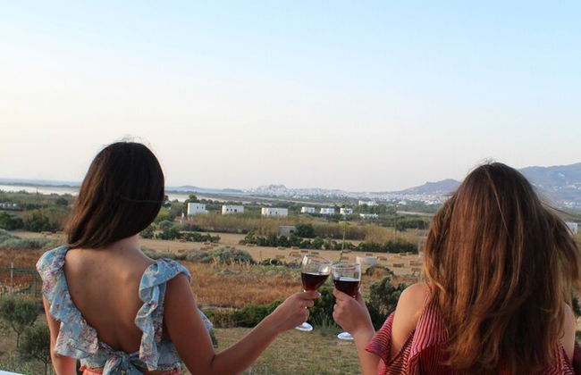 Lemonia Suites With Outdoor BBQ Area - Foto 41